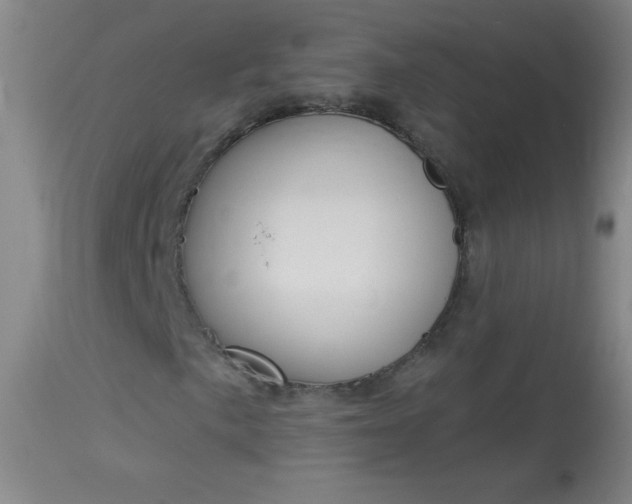X0000114131057200910080957