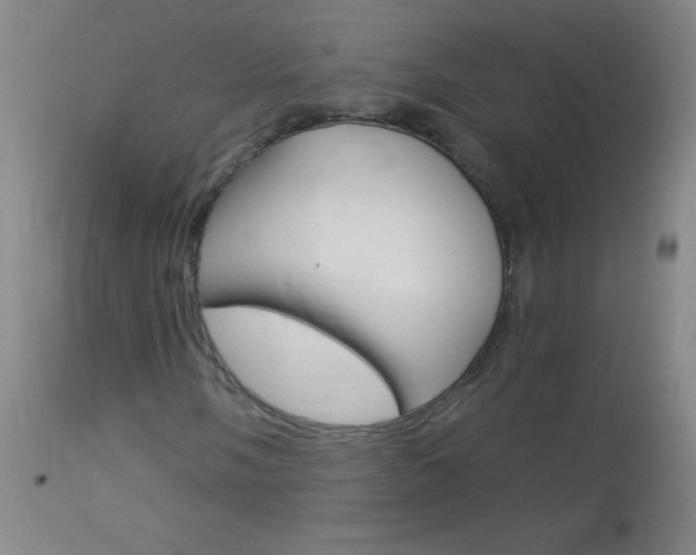 X0000114131058200910080957