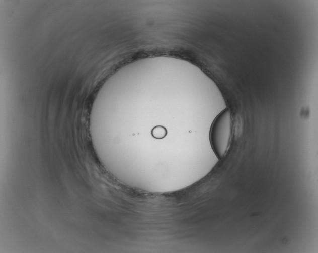 X0000114131059200910080957
