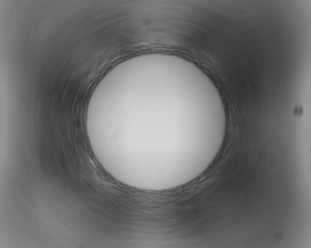 X0000114131060200910080957