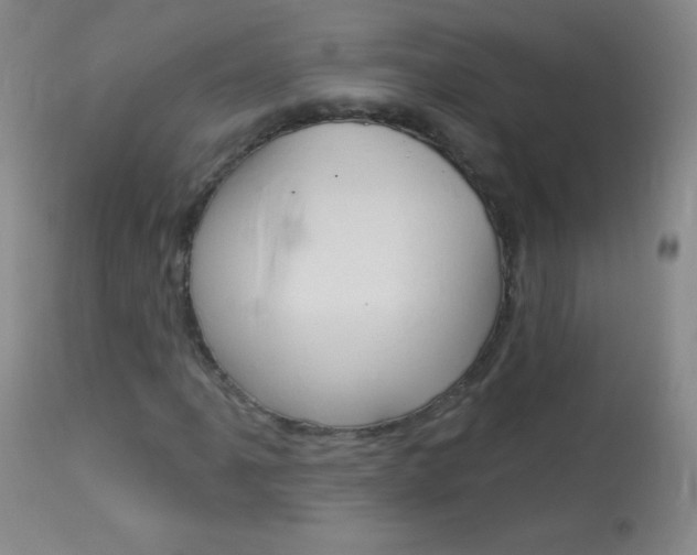 X0000114131061200910080957