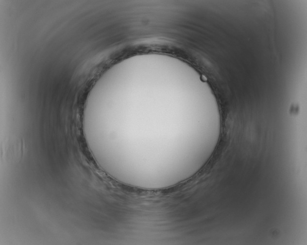 X0000114131062200910080957