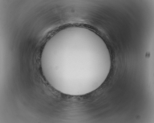 X0000114131063200910080957