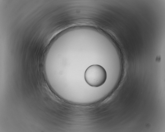 X0000114131065200910080957