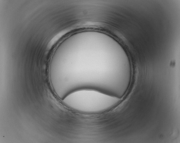 X0000114131066200910080957
