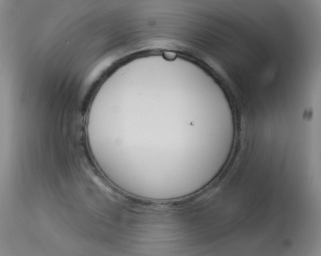 X0000114131067200910080957