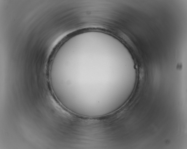 X0000114131068200910080957