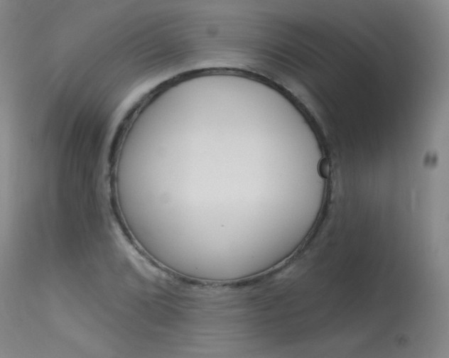 X0000114131072200910080957