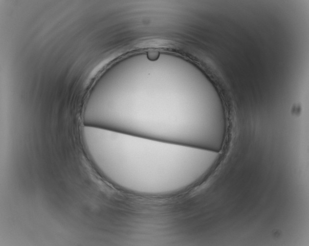 X0000114131073200910080957