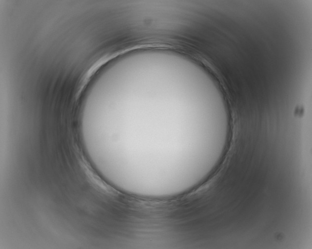 X0000114131075200910080957