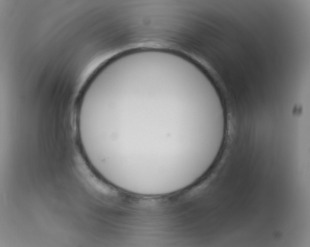 X0000114131078200910080957