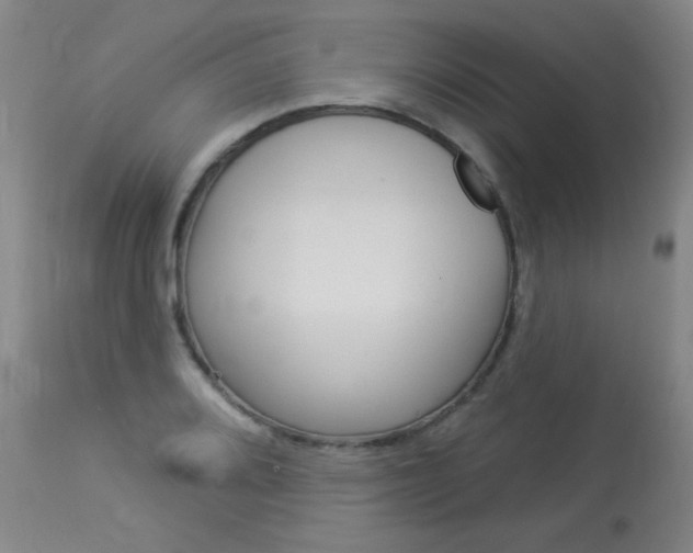 X0000114131080200910080957
