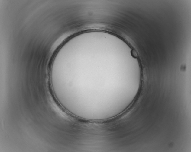 X0000114131082200910080957