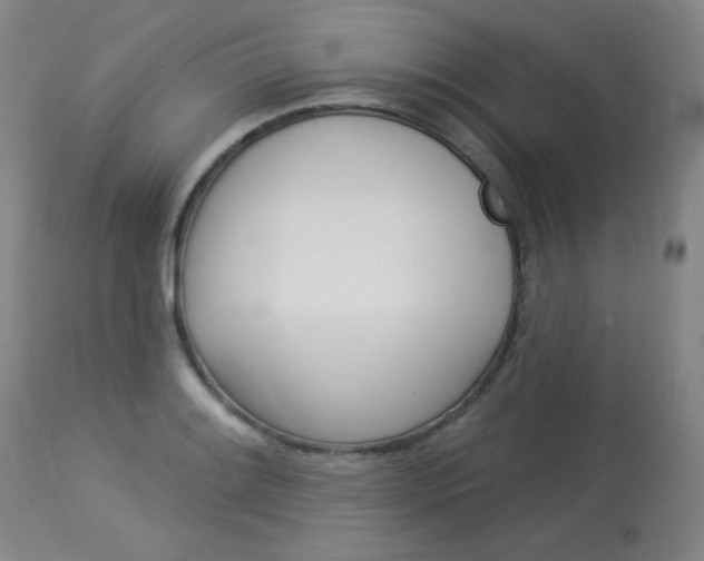 X0000114131084200910080956