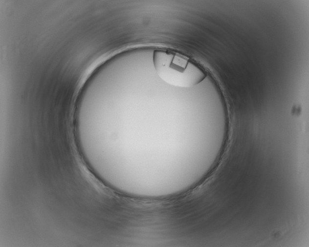 X0000114131085200910080956