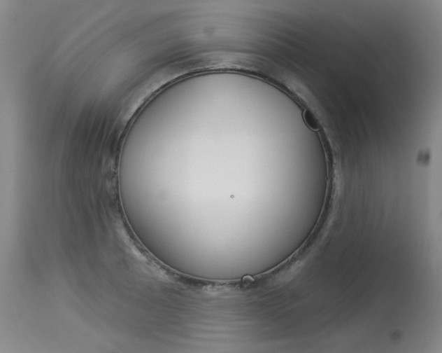 X0000114131089200910080956