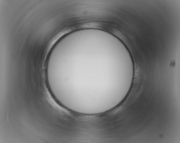 X0000114131090200910080956