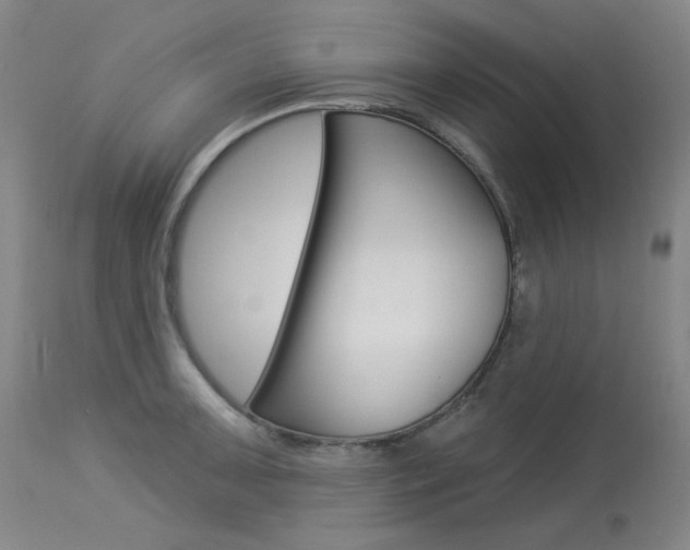 X0000114131091200910080956