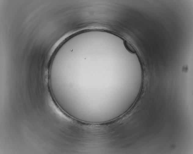 X0000114131092200910080956
