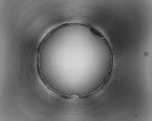 X0000114131093200910080956