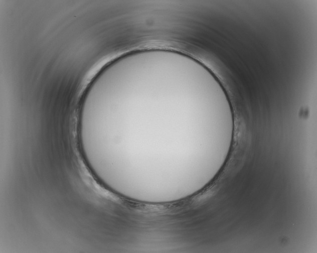 X0000114131094200910080956