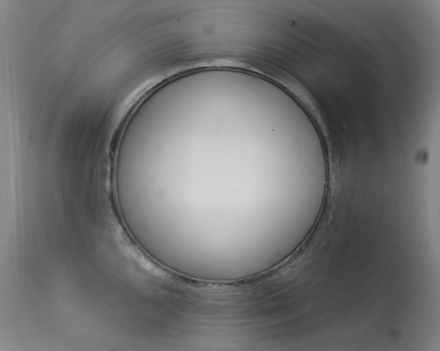 X0000114131096200910080956