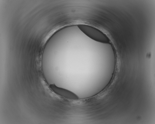 X0000114131097200910080956