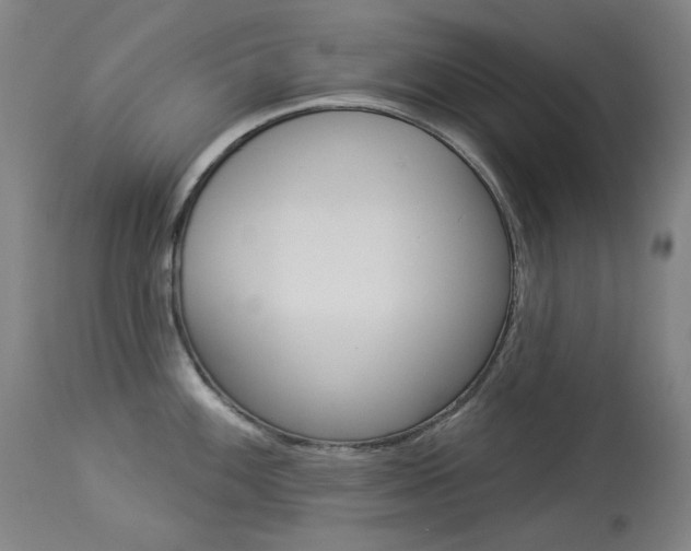 X0000114131100200910080956