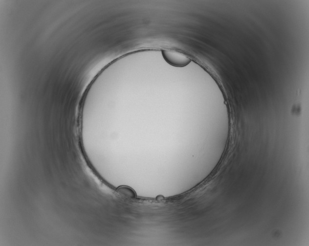 X0000114131103200910080956
