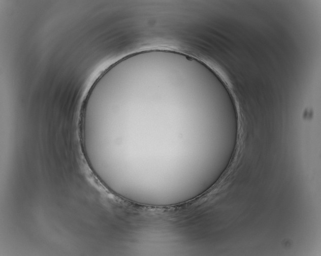 X0000114131104200910080956