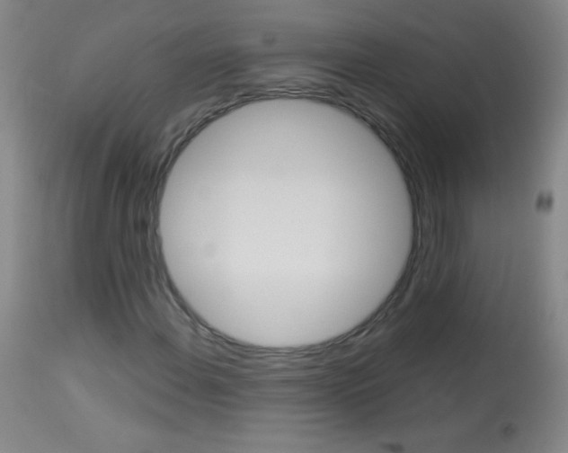 X0000114131108200910080955