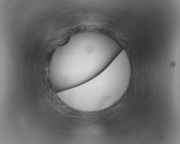 X0000114131109200910080955