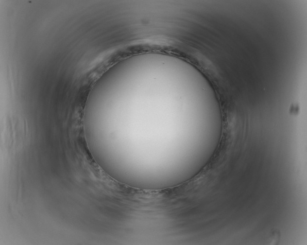 X0000114131110200910080955