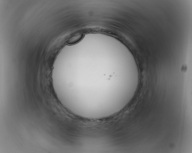 X0000114131111200910080955