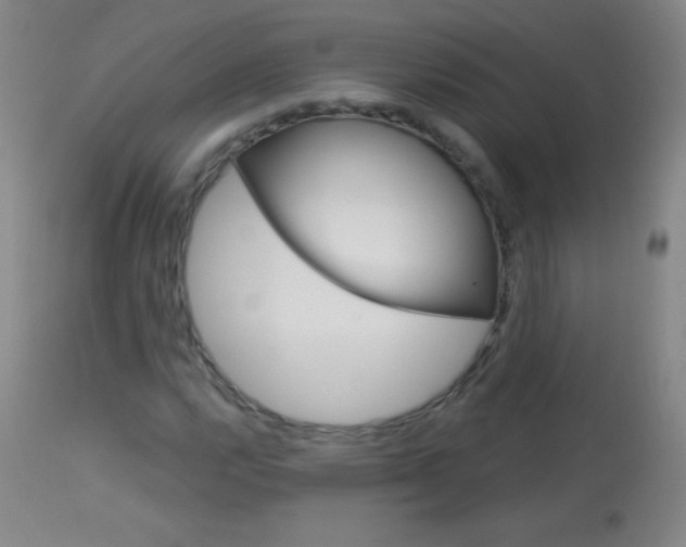 X0000114131112200910080955