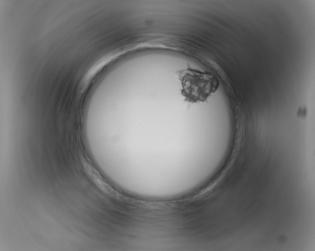 X0000114131114200910080956