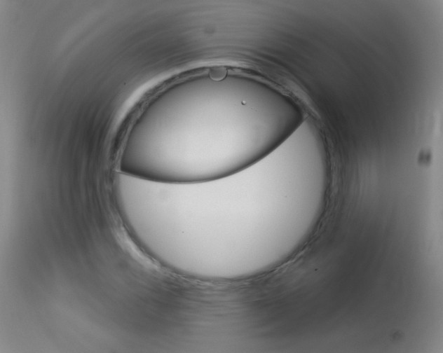 X0000114131116200910080956