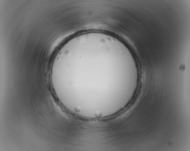 X0000114131117200910080956
