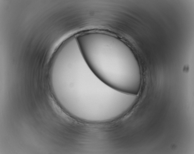 X0000114131118200910080956