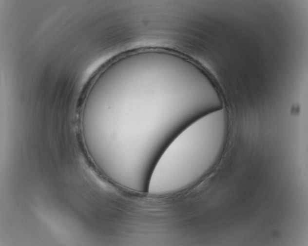 X0000114131119200910080956