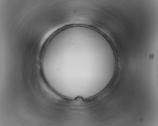 X0000114131120200910080956