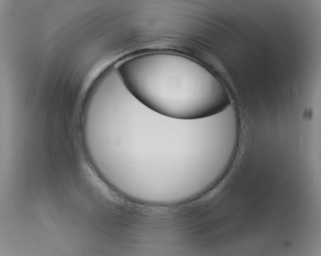 X0000114131122200910080956