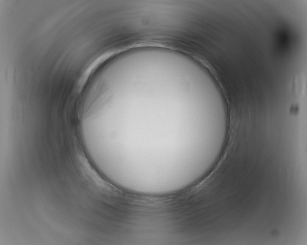 X0000114131123200910080956
