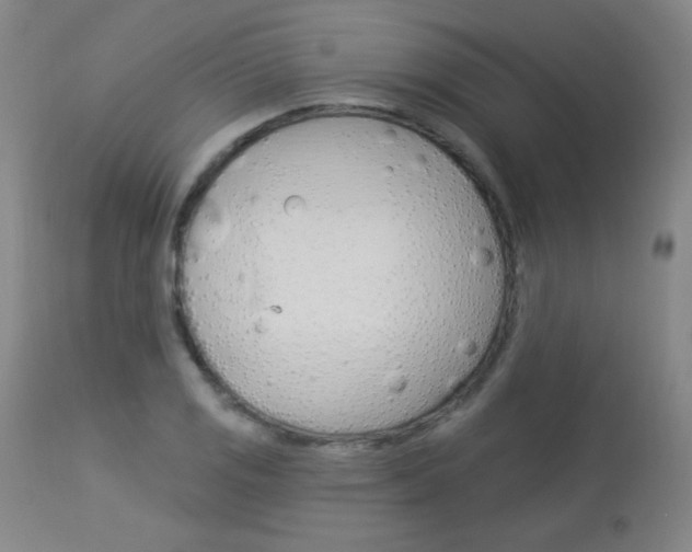 X0000114131125200910080956