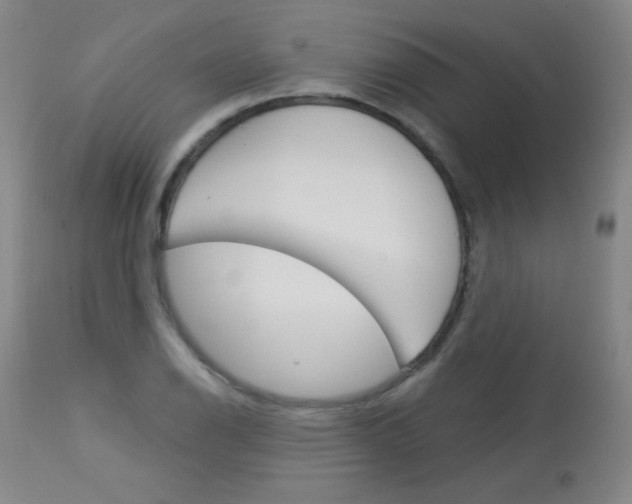 X0000114131126200910080956