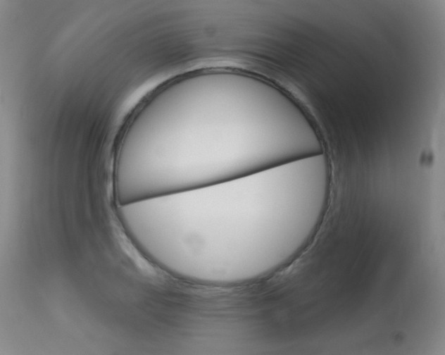 X0000114131127200910080956