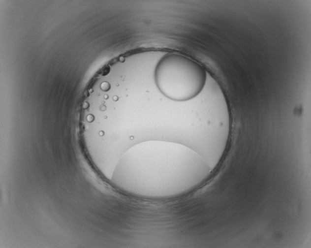 X0000114131130200910080956