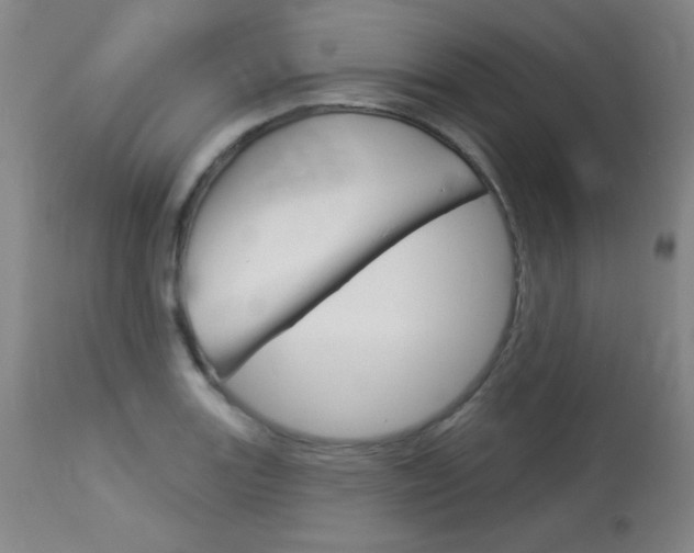 X0000114131131200910080956