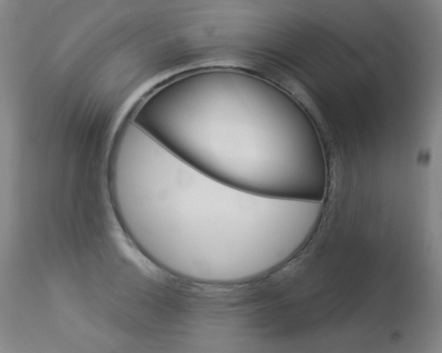 X0000114131132200910080956