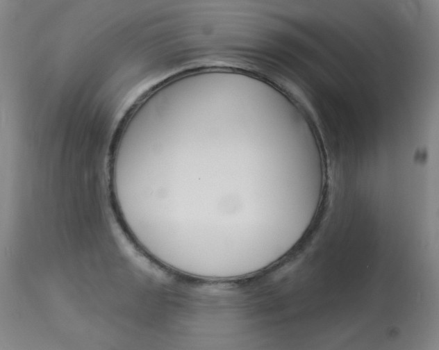 X0000114131133200910080956